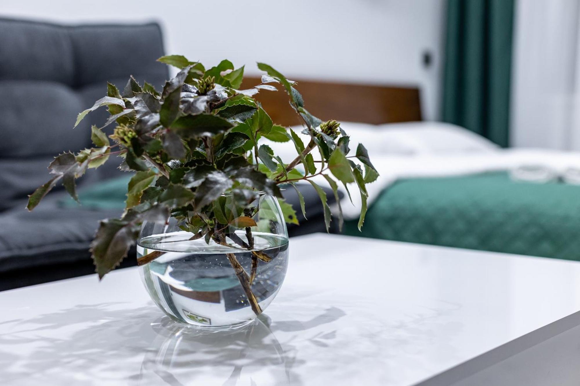 Cozy Apartments Center Lviv Dış mekan fotoğraf